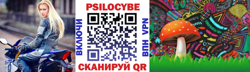 Купить  Нововоронеж  Псилоцибиновые грибы MAGIC MUSHROOMS 